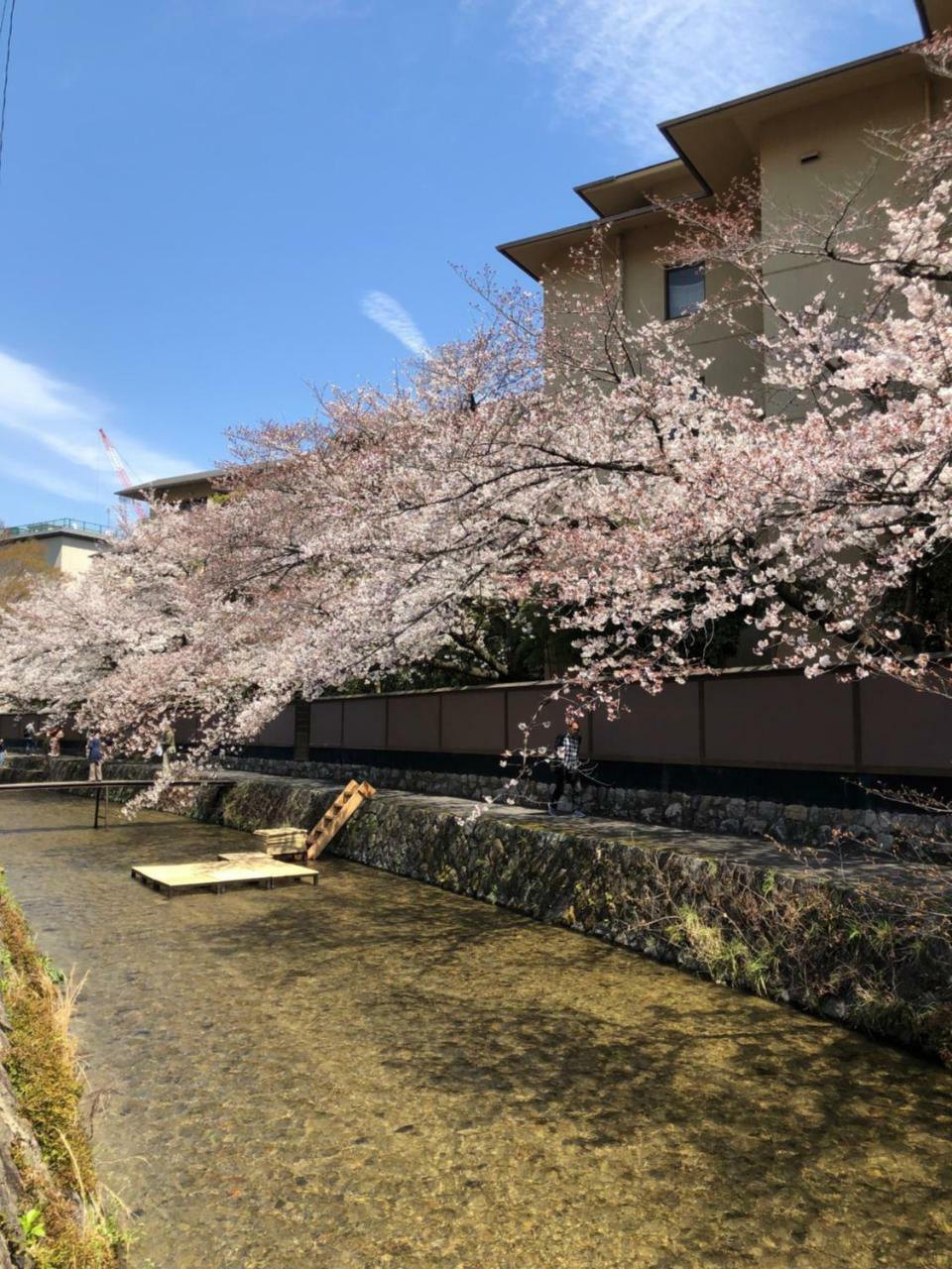 Rinn Heian Shirakawa Kioto Zewnętrze zdjęcie