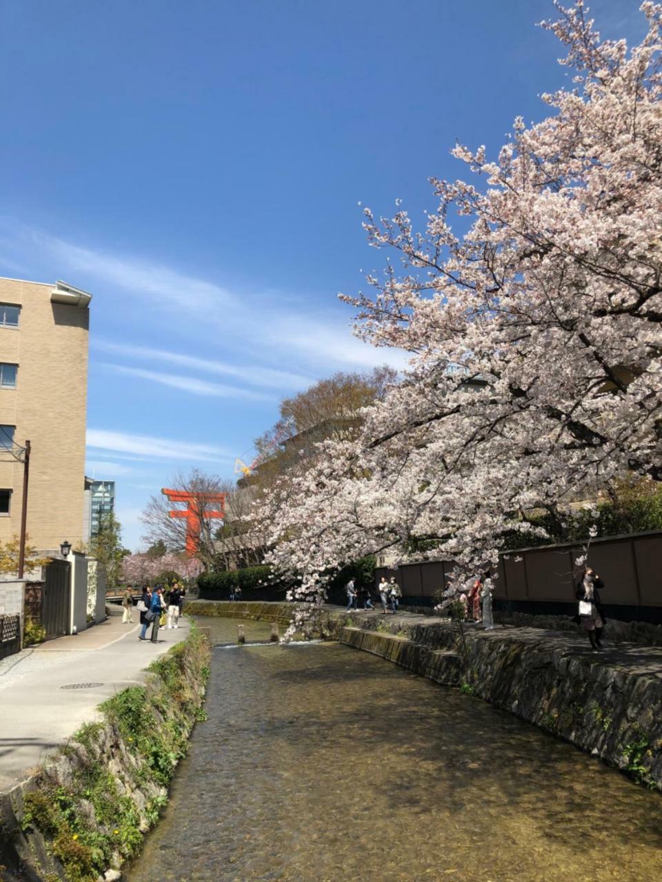 Rinn Heian Shirakawa Kioto Zewnętrze zdjęcie